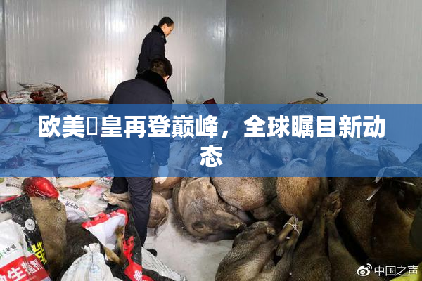 欧美嘼皇再登巅峰，全球瞩目新动态