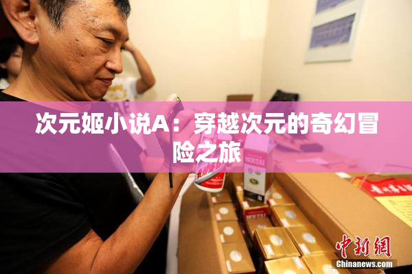 次元姬小说A：穿越次元的奇幻冒险之旅