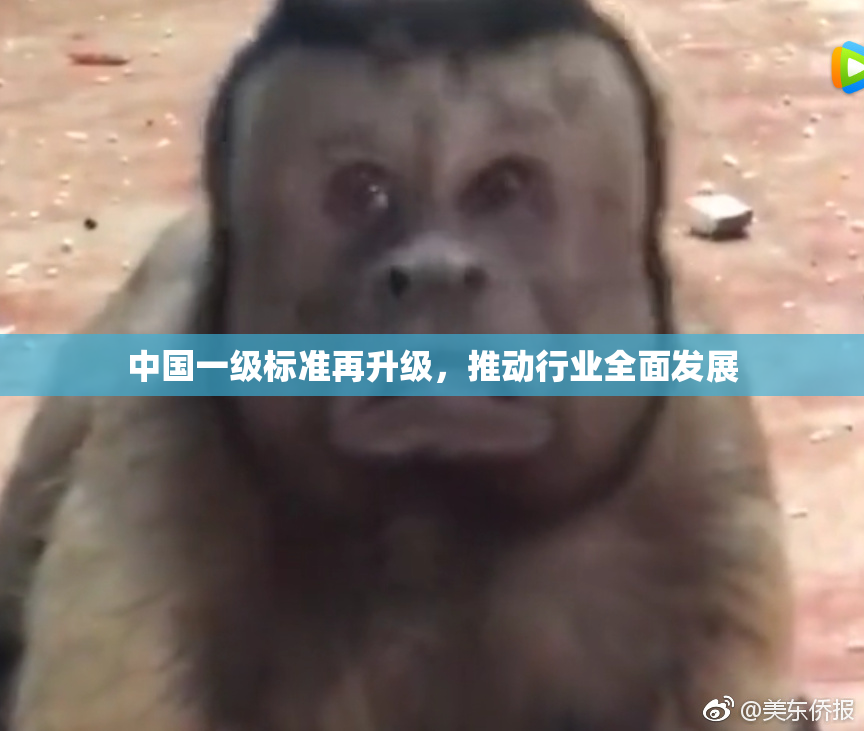 中国一级标准再升级，推动行业全面发展