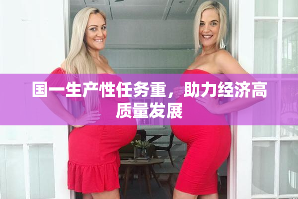 国一生产性任务重，助力经济高质量发展