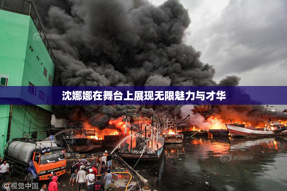 沈娜娜在舞台上展现无限魅力与才华