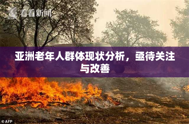 亚洲老年人群体现状分析，亟待关注与改善