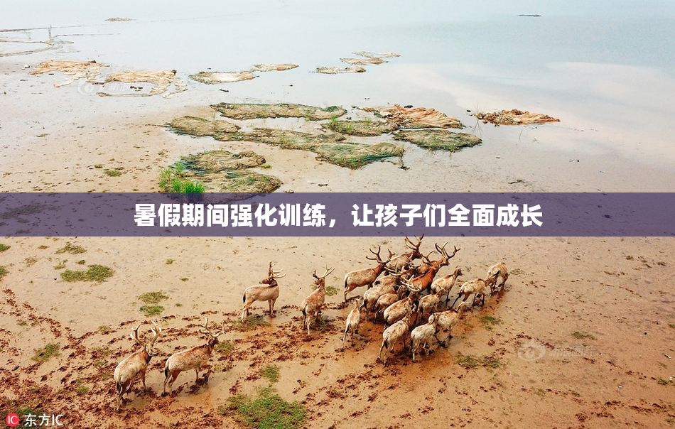 暑假期间强化训练，让孩子们全面成长