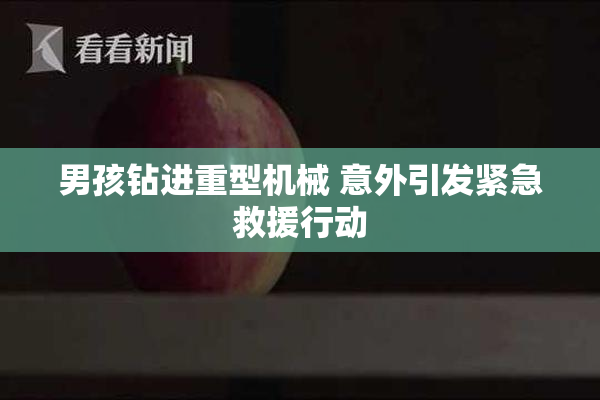 男孩钻进重型机械 意外引发紧急救援行动