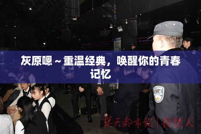 灰原嗯～重温经典，唤醒你的青春记忆