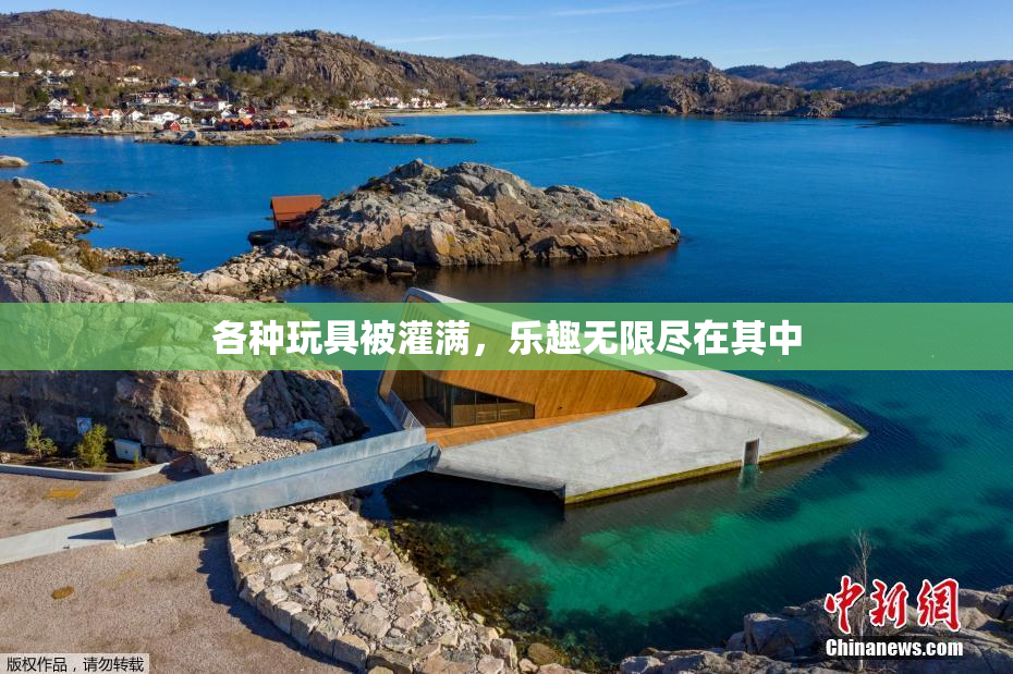 各种玩具被灌满，乐趣无限尽在其中