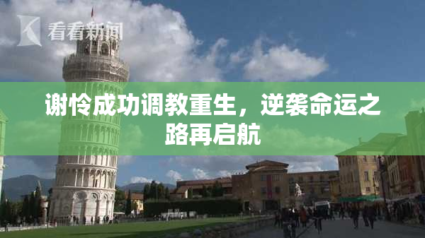 谢怜成功调教重生，逆袭命运之路再启航