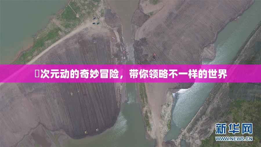 囧次元动的奇妙冒险，带你领略不一样的世界