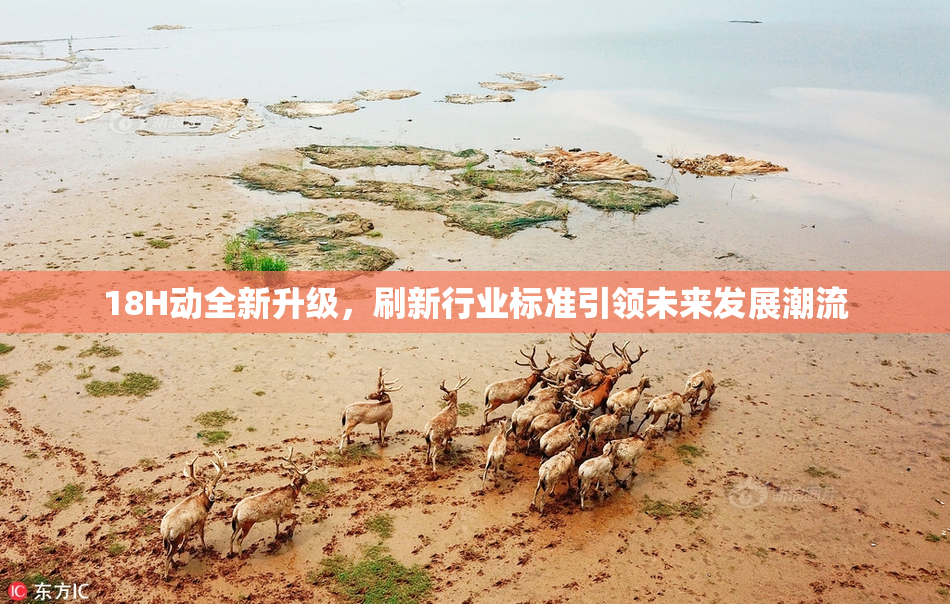 18H动全新升级，刷新行业标准引领未来发展潮流