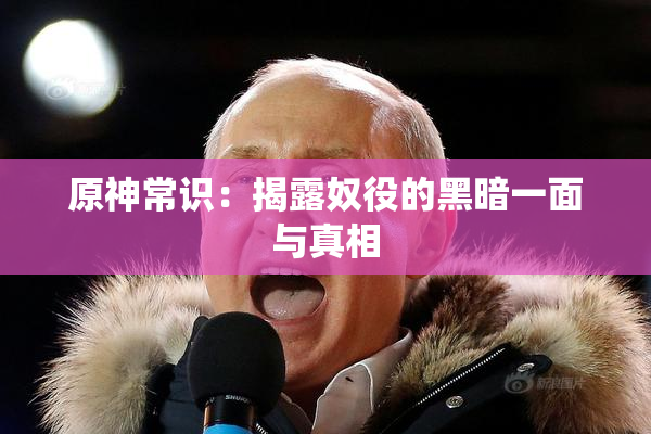 原神常识：揭露奴役的黑暗一面与真相