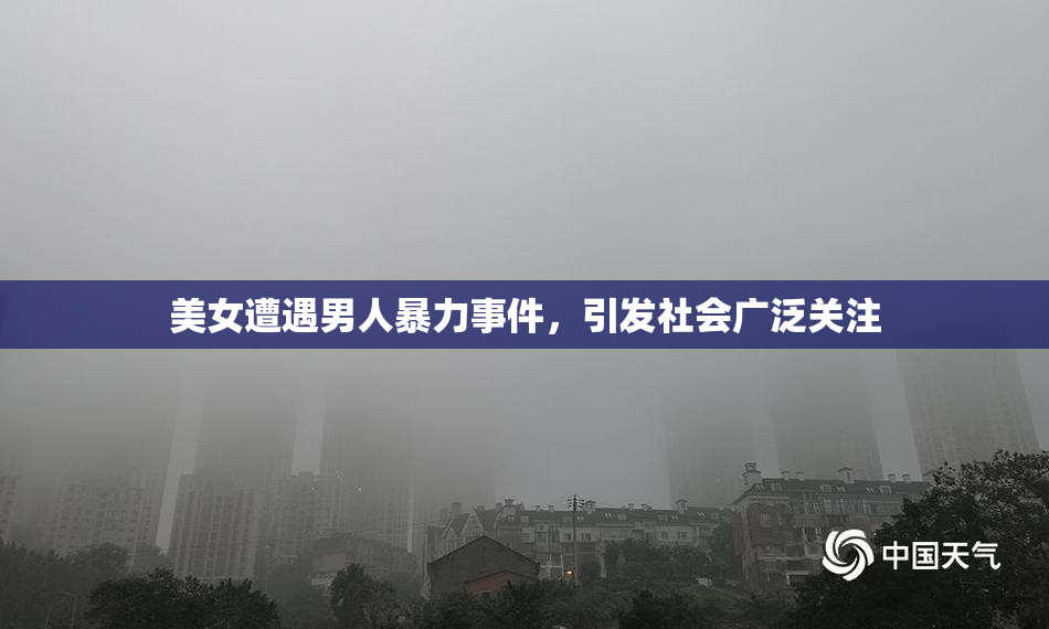 美女遭遇男人暴力事件，引发社会广泛关注