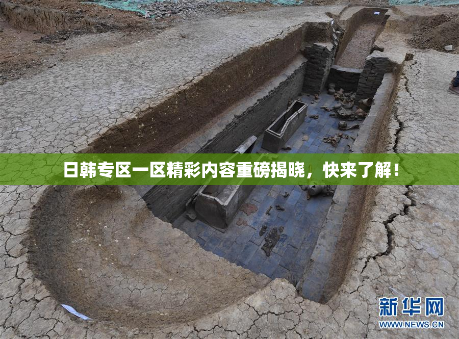 日韩专区一区精彩内容重磅揭晓，快来了解！