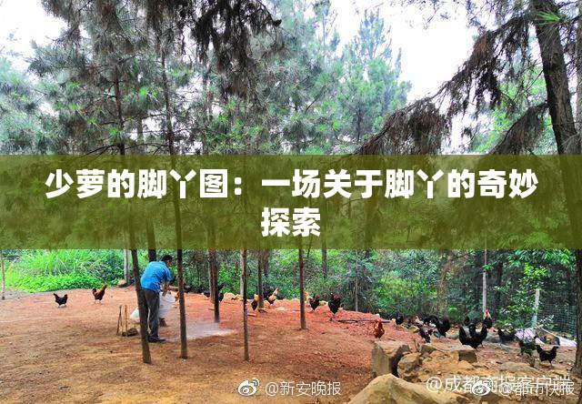 少萝的脚丫图：一场关于脚丫的奇妙探索