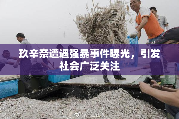 玖辛奈遭遇强暴事件曝光，引发社会广泛关注