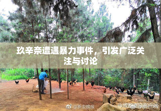 玖辛奈遭遇暴力事件，引发广泛关注与讨论