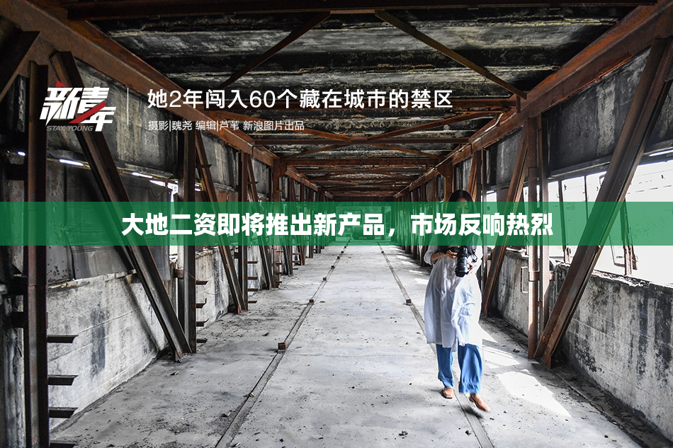 大地二资即将推出新产品，市场反响热烈