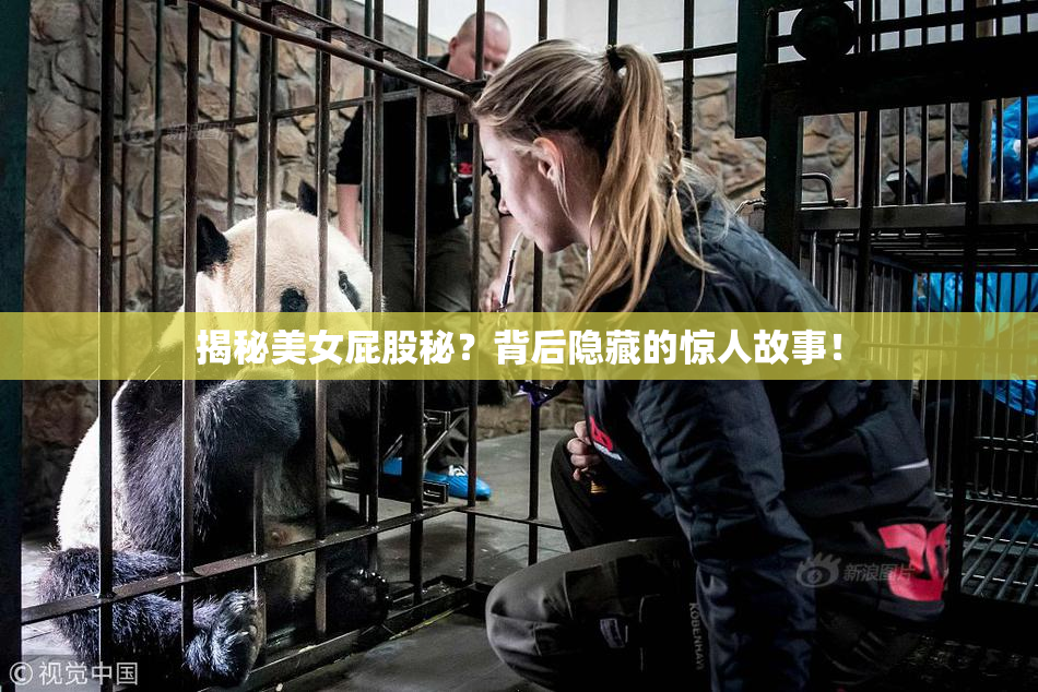 揭秘美女屁股秘？背后隐藏的惊人故事！