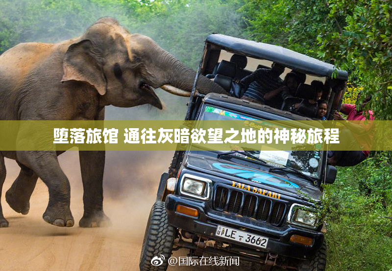 堕落旅馆 通往灰暗欲望之地的神秘旅程