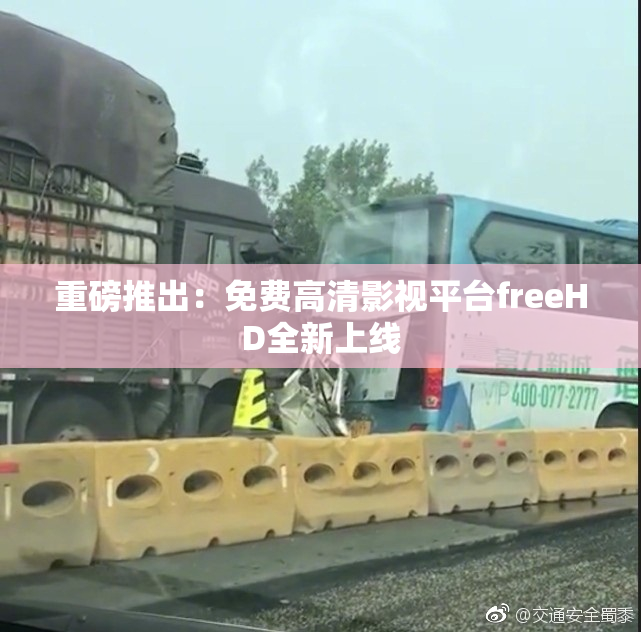 重磅推出：免费高清影视平台freeHD全新上线