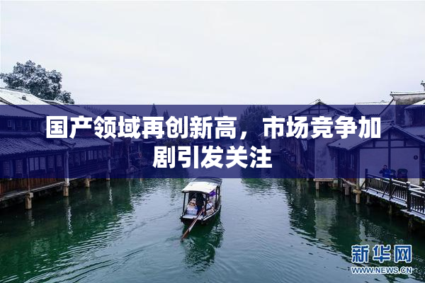 国产领域再创新高，市场竞争加剧引发关注