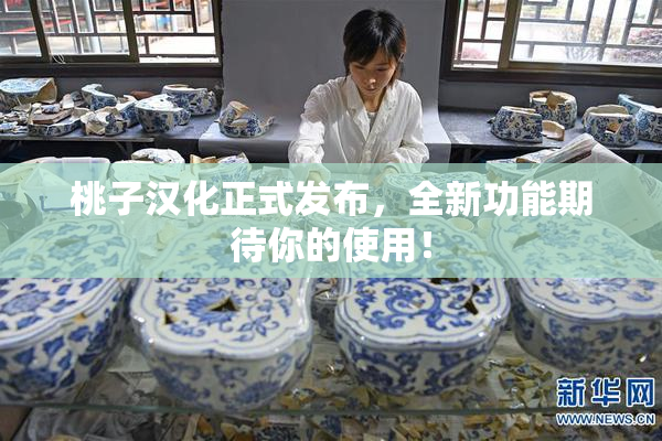 桃子汉化正式发布，全新功能期待你的使用！