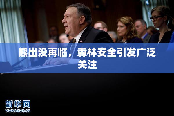 熊出没再临，森林安全引发广泛关注