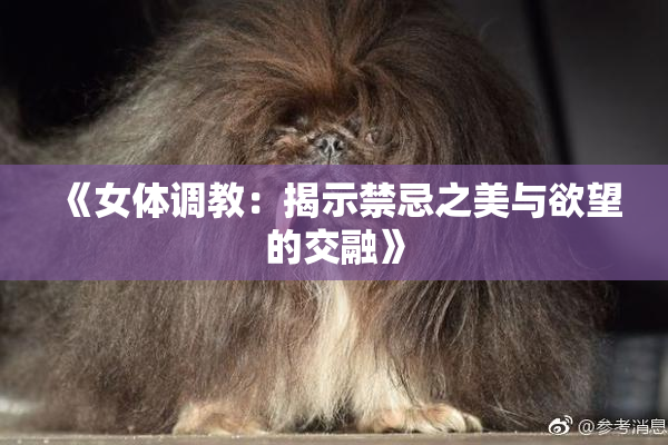 《女体调教：揭示禁忌之美与欲望的交融》