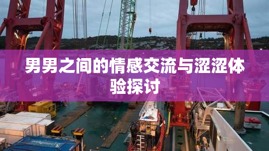男男之间的情感交流与涩涩体验探讨
