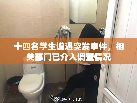十四名学生遭遇突发事件，相关部门已介入调查情况