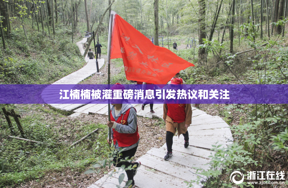 江楠楠被灌重磅消息引发热议和关注