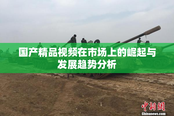 国产精品视频在市场上的崛起与发展趋势分析