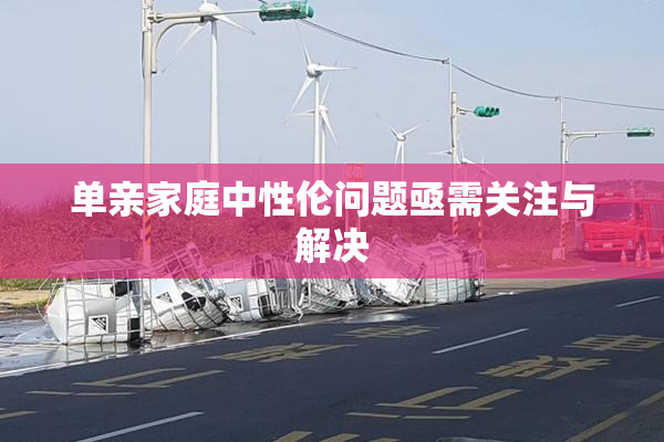 单亲家庭中性伦问题亟需关注与解决