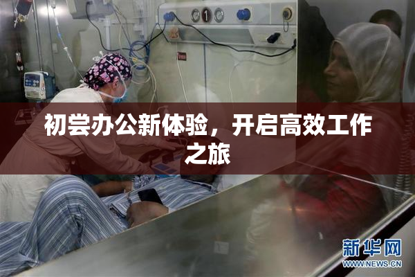 初尝办公新体验，开启高效工作之旅