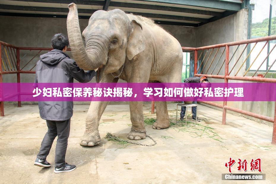 少妇私密保养秘诀揭秘，学习如何做好私密护理