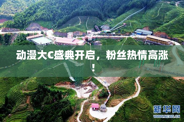 动漫大C盛典开启，粉丝热情高涨！
