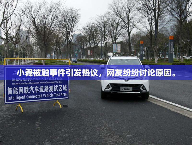 小舞被触事件引发热议，网友纷纷讨论原因。
