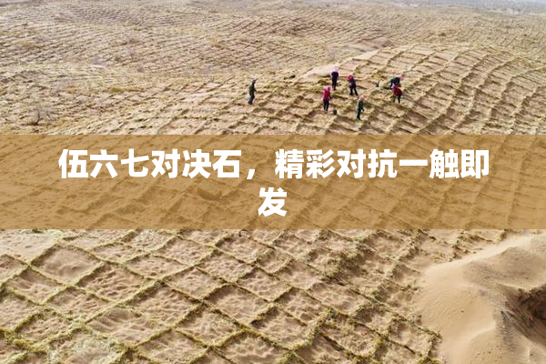 伍六七对决石，精彩对抗一触即发