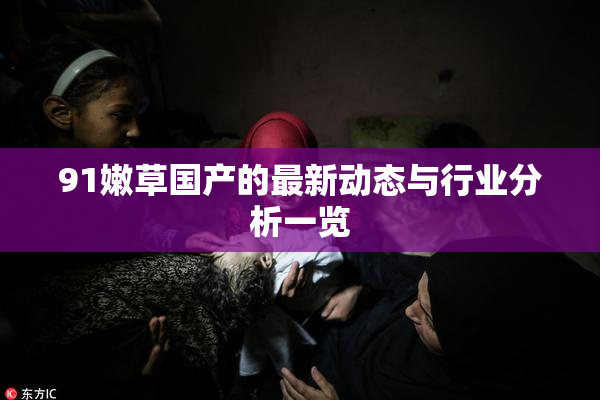 91嫩草国产的最新动态与行业分析一览