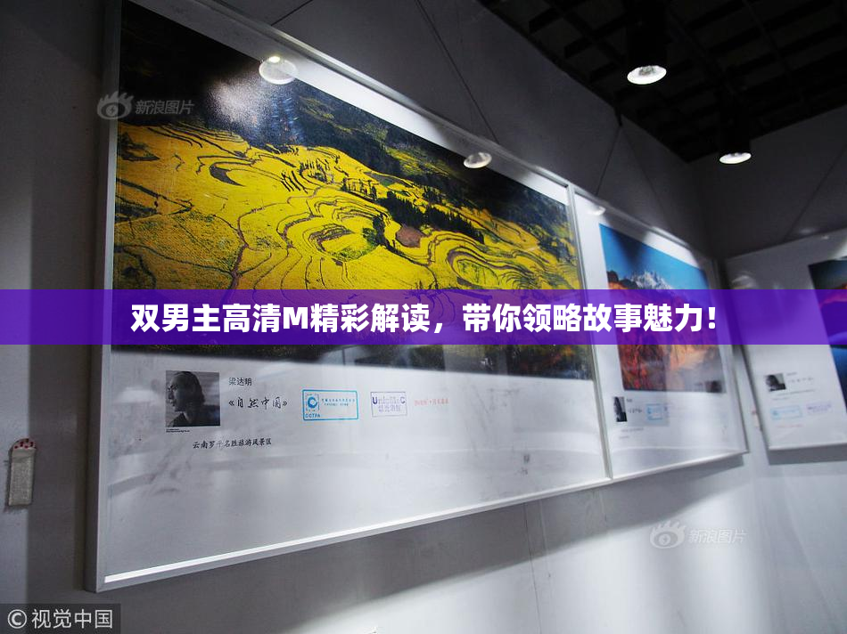 双男主高清M精彩解读，带你领略故事魅力！