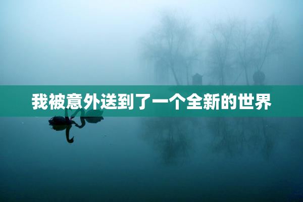 我被意外送到了一个全新的世界