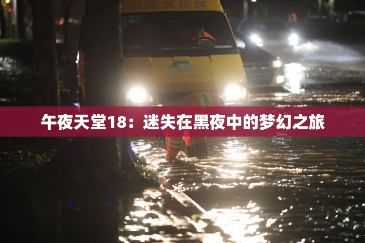 午夜天堂18：迷失在黑夜中的梦幻之旅