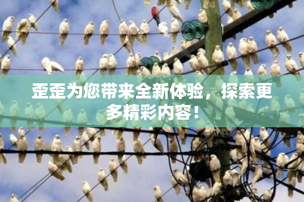 歪歪为您带来全新体验，探索更多精彩内容！