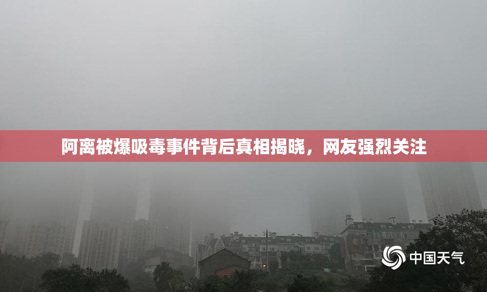 阿离被爆吸毒事件背后真相揭晓，网友强烈关注