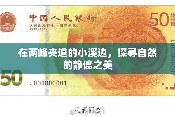 在两峰夹道的小溪边，探寻自然的静谧之美