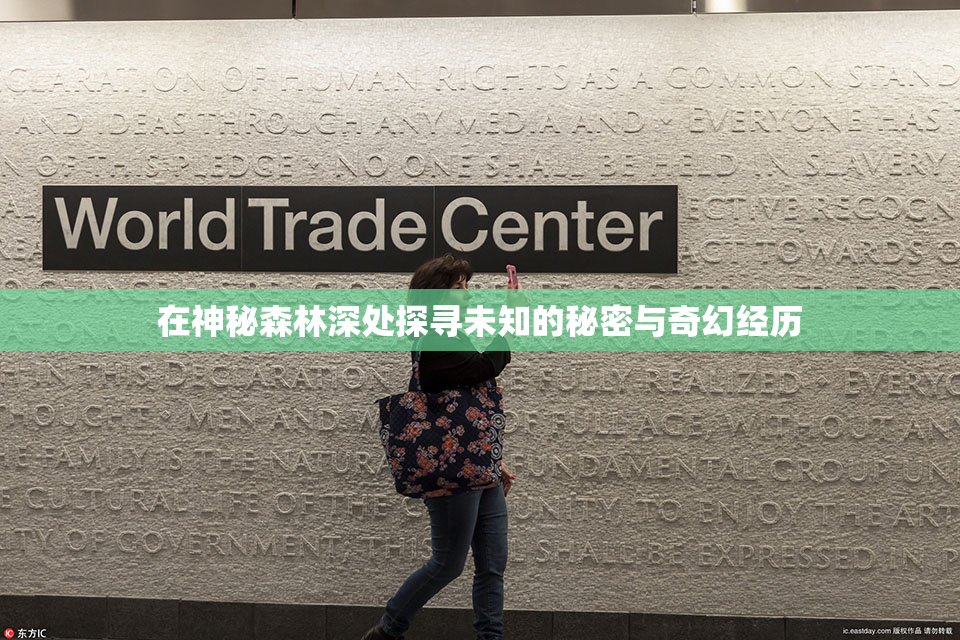 在神秘森林深处探寻未知的秘密与奇幻经历