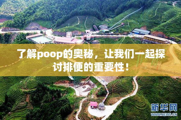 了解poop的奥秘，让我们一起探讨排便的重要性！