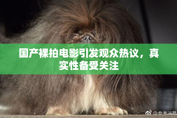 国产裸拍电影引发观众热议，真实性备受关注