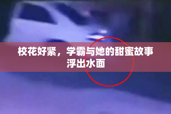 校花好紧，学霸与她的甜蜜故事浮出水面