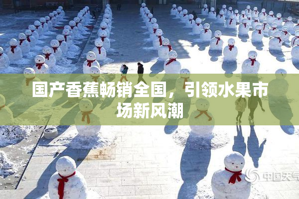 国产香蕉畅销全国，引领水果市场新风潮