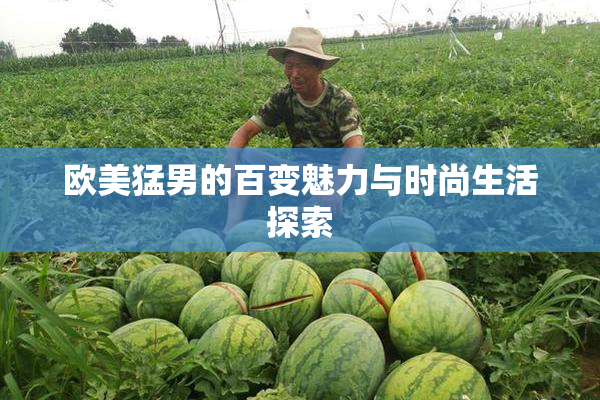 欧美猛男的百变魅力与时尚生活探索